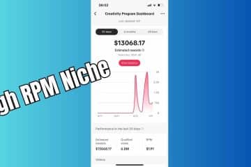 Highest RPM Niches in TikTok