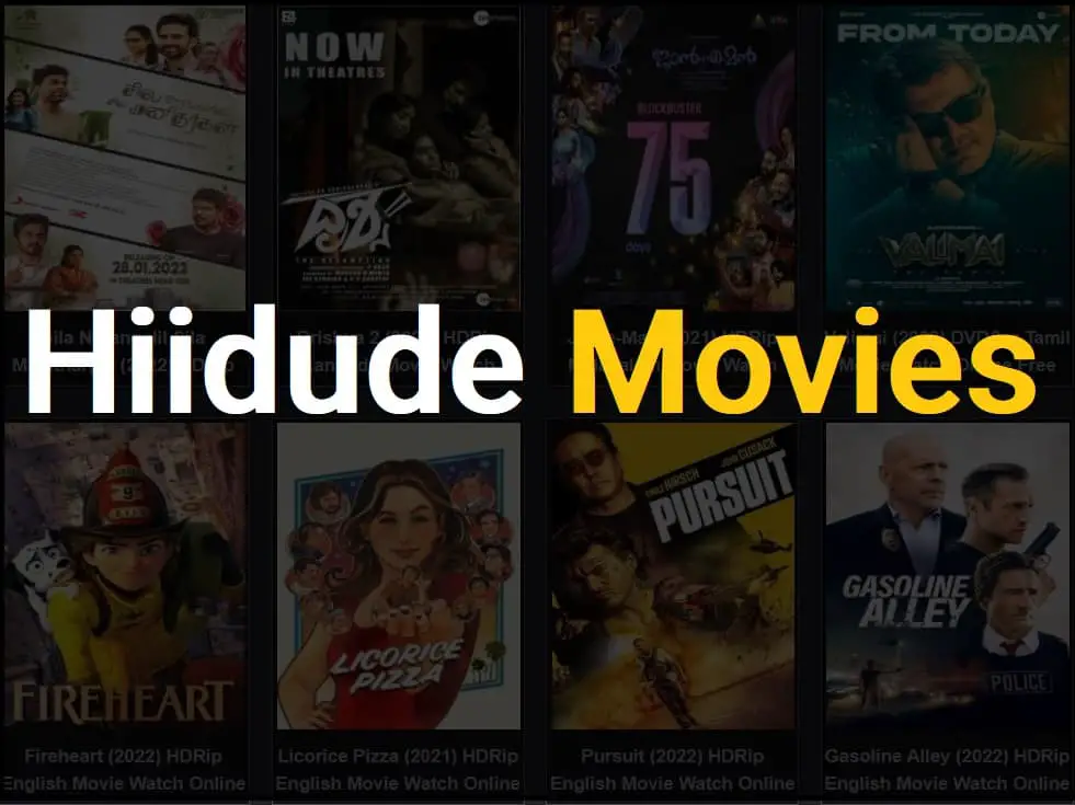 Hiidude movies