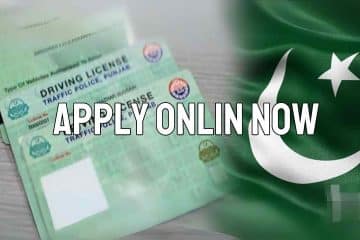 Punjab Government Driving License Portal